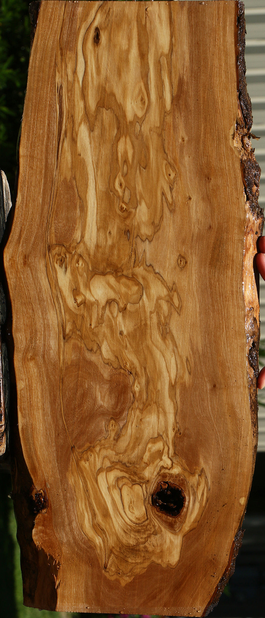 Extra Fancy Italian Olive Live Edge Lumber