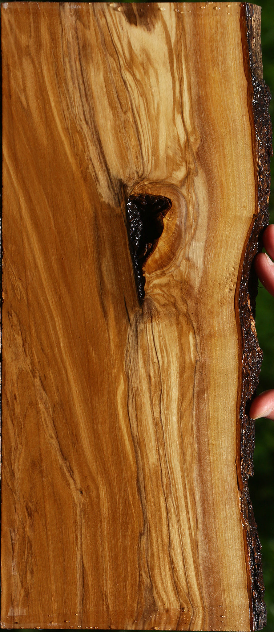 Figured Italian Olive Live Edge Lumber