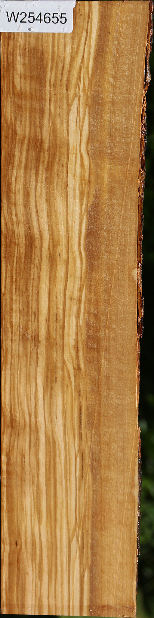 Figured Quartersawn Italian Olive Live Edge Lumber