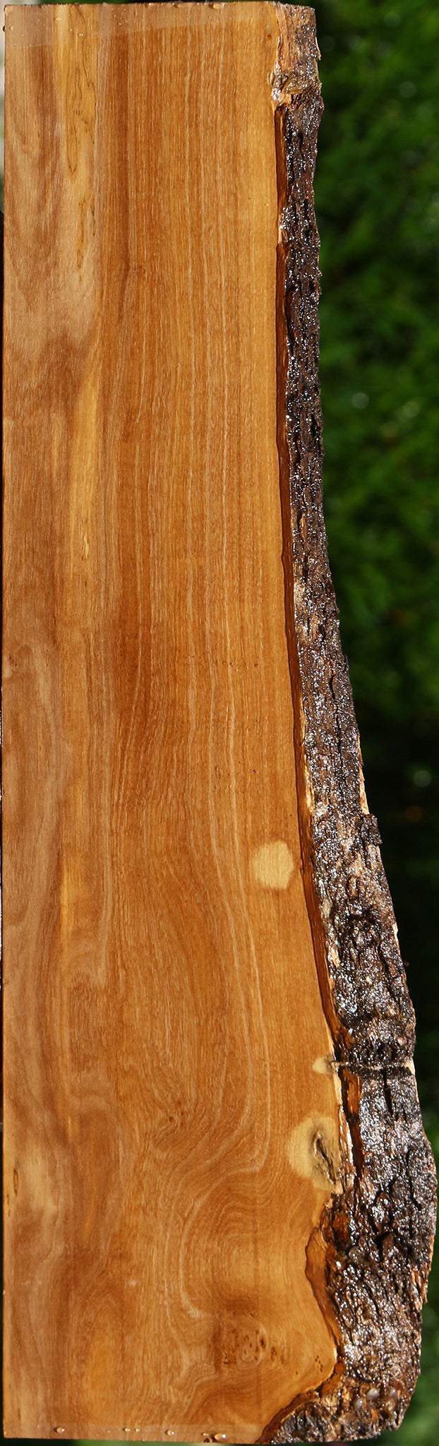 Italian Olive Live Edge Lumber