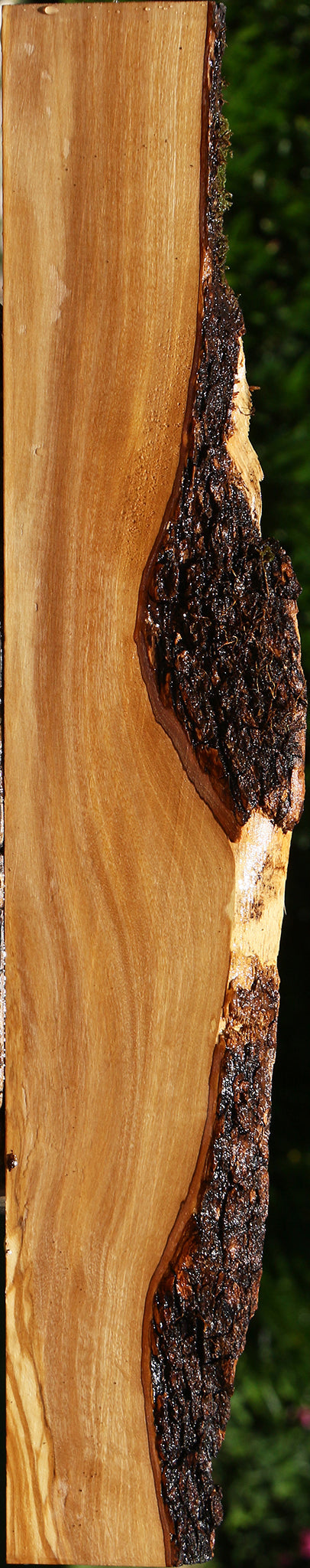 Italian Olive Live Edge Lumber