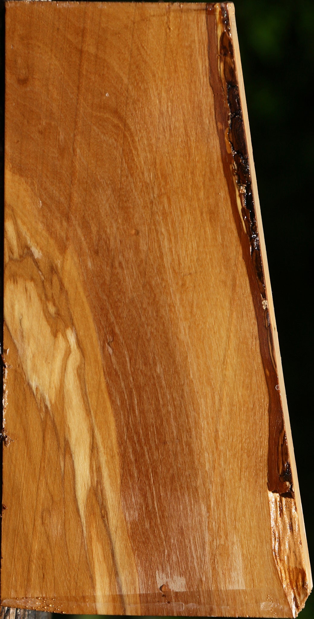 Italian Olive Lumber