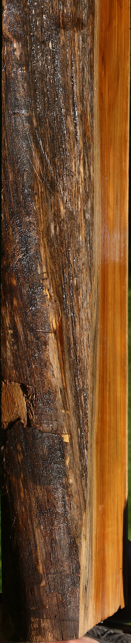 Teak Live Edge Slab (Free Shipping Excluded)