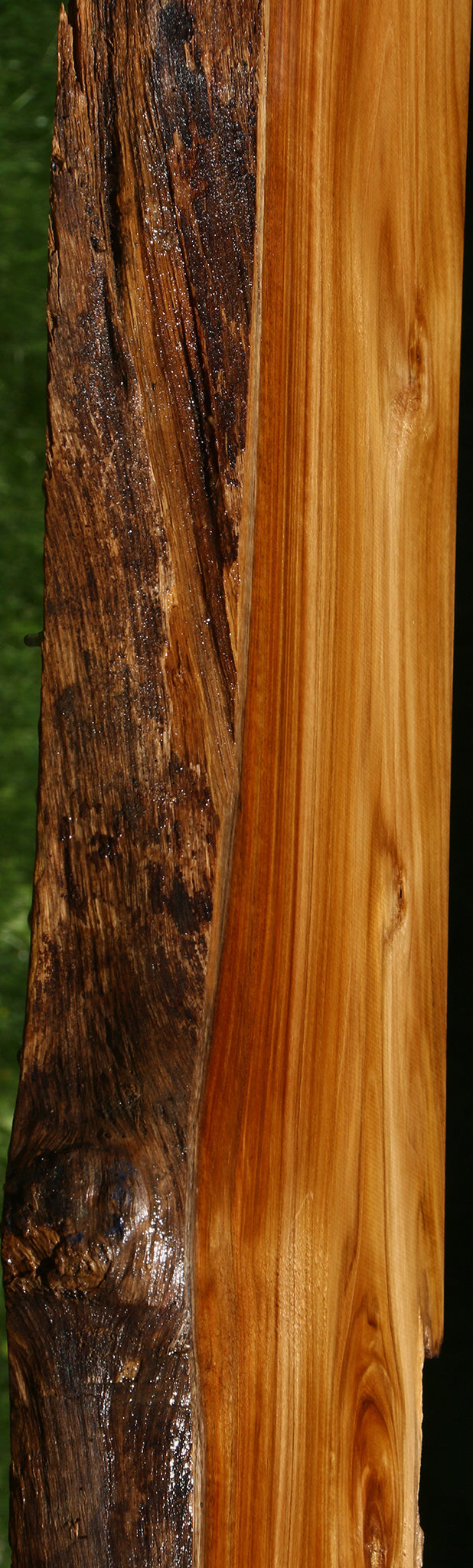 Teak Live Edge Slab (Free Shipping Excluded)