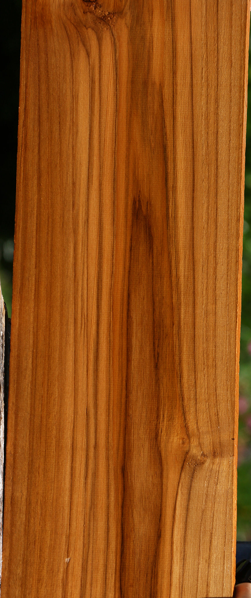 Teak Lumber