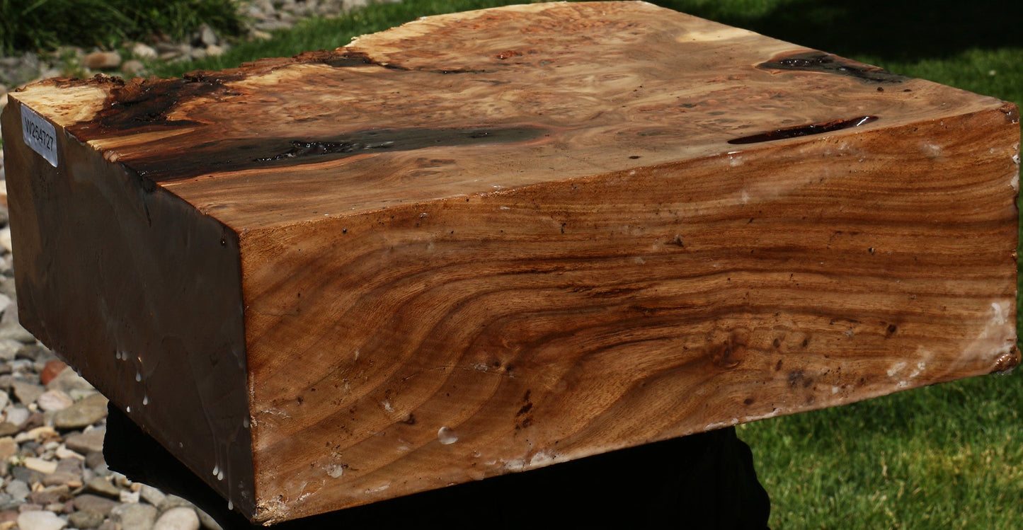 Elm Burl Live Edge Bowl Blank