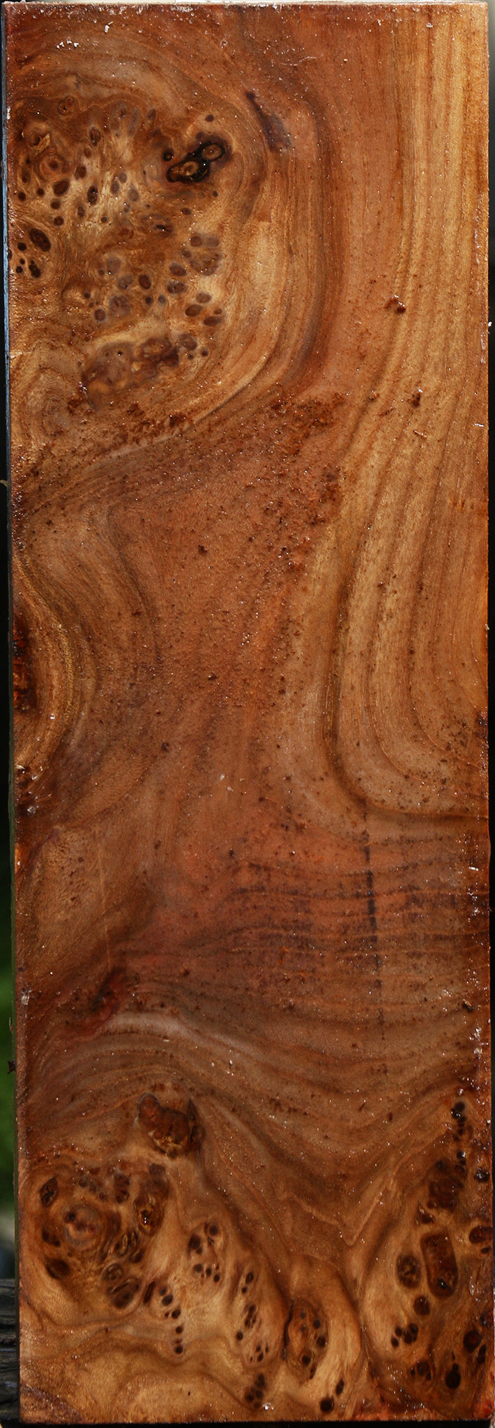 Elm Burl Vessel Blank
