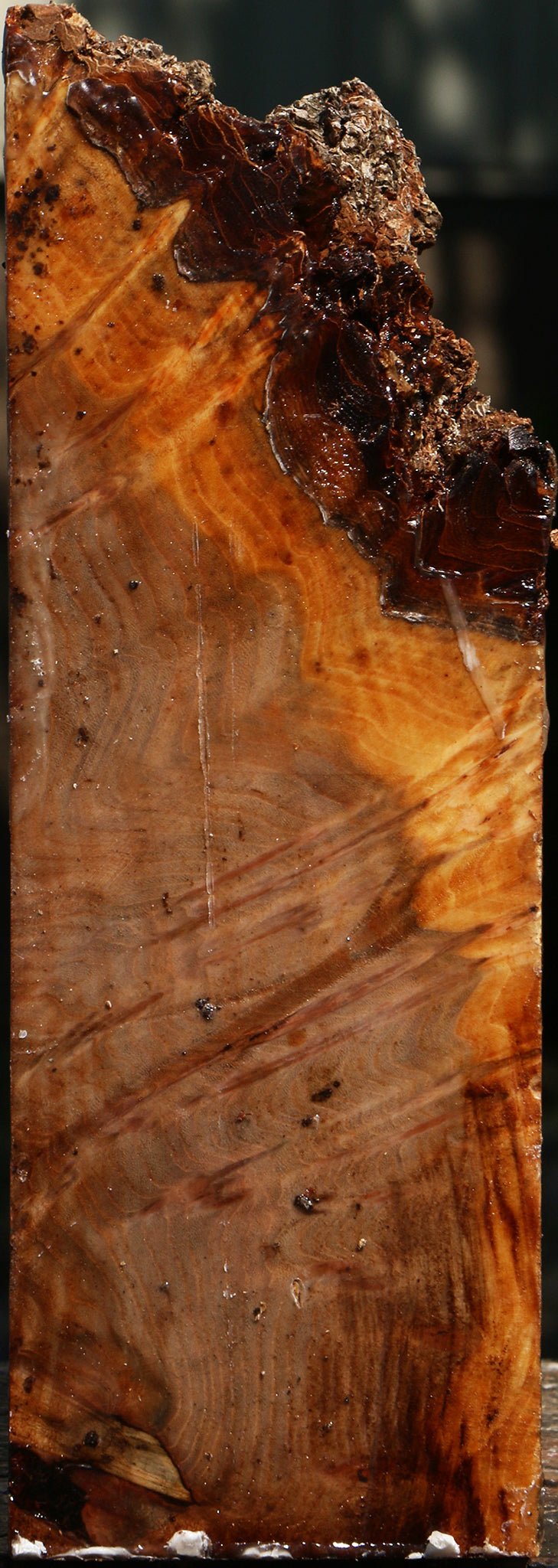 Elm Burl Live Edge Turning Blank