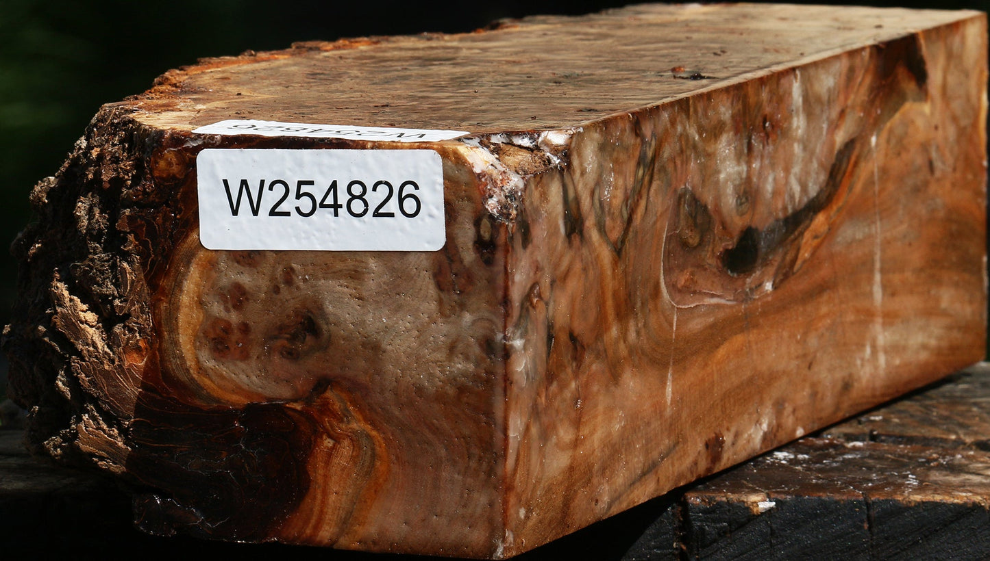 Elm Burl Live Edge Turning Blank