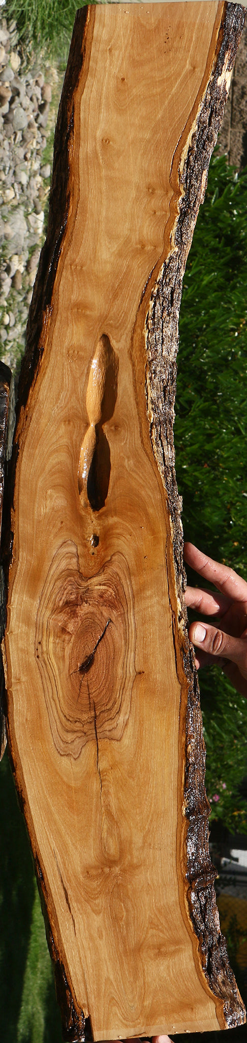 African Olive Live Edge Lumber