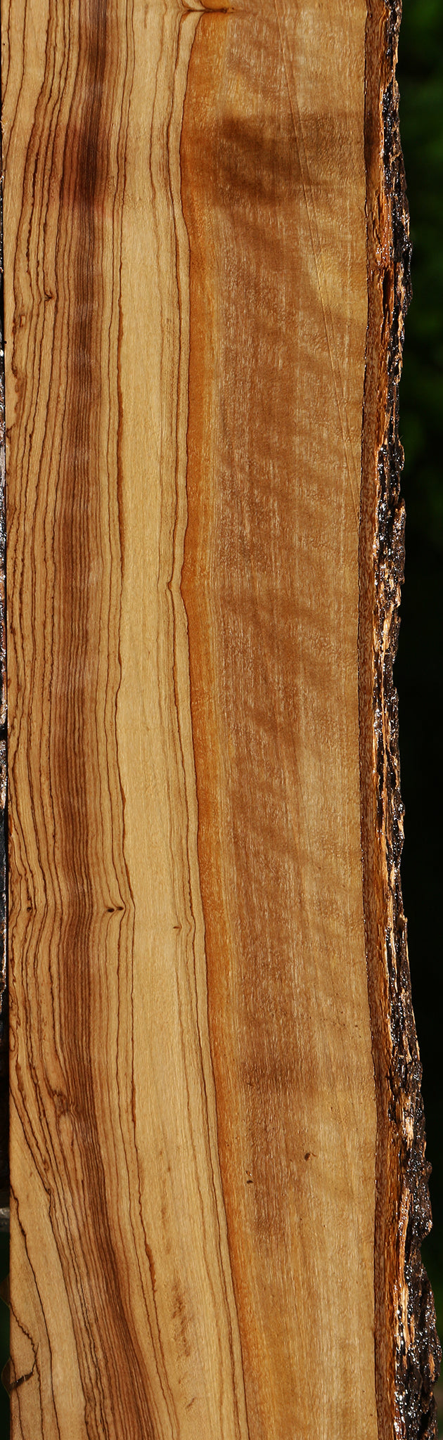 Extra Fancy African Olive Live Edge Lumber