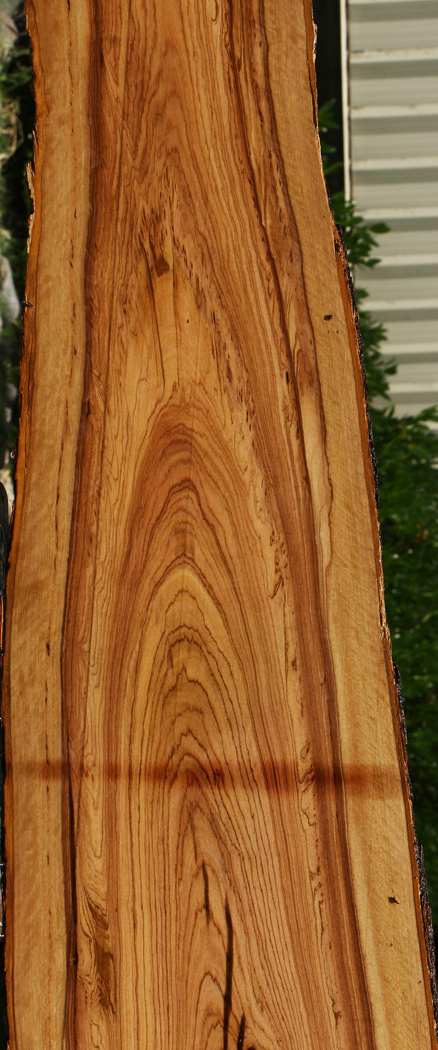 African Olive Live Edge Lumber