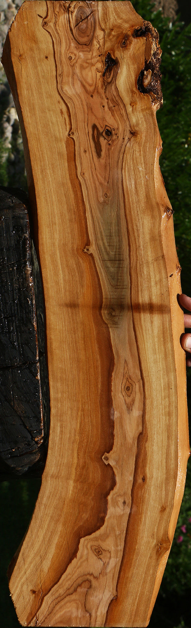 African Olive Live Edge Lumber