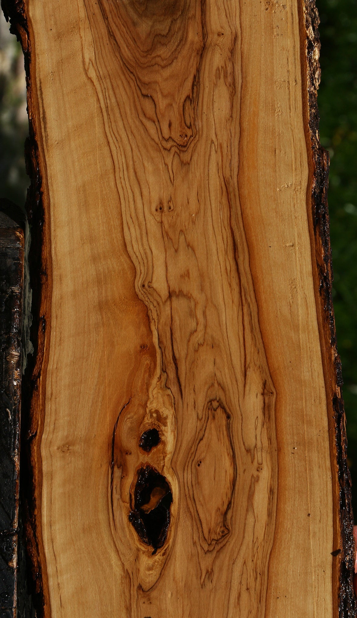Figured African Olive Live Edge Lumber