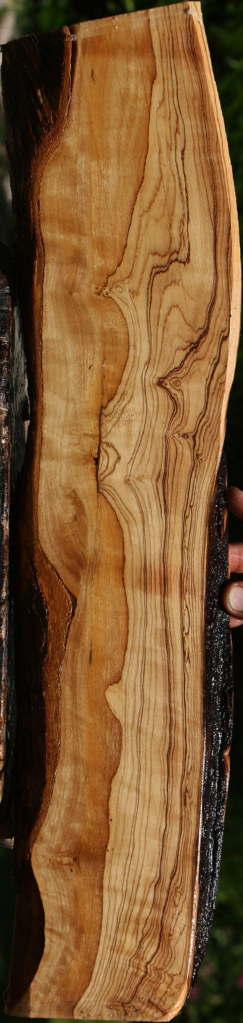 Figured African Olive Live Edge Lumber