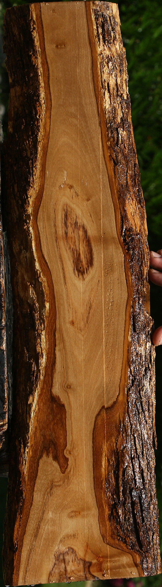 African Olive Live Edge Lumber