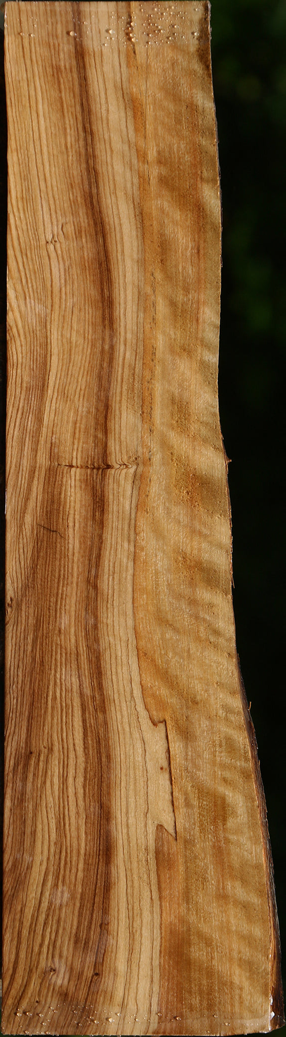 Extra Fancy African Olive Live Edge Lumber