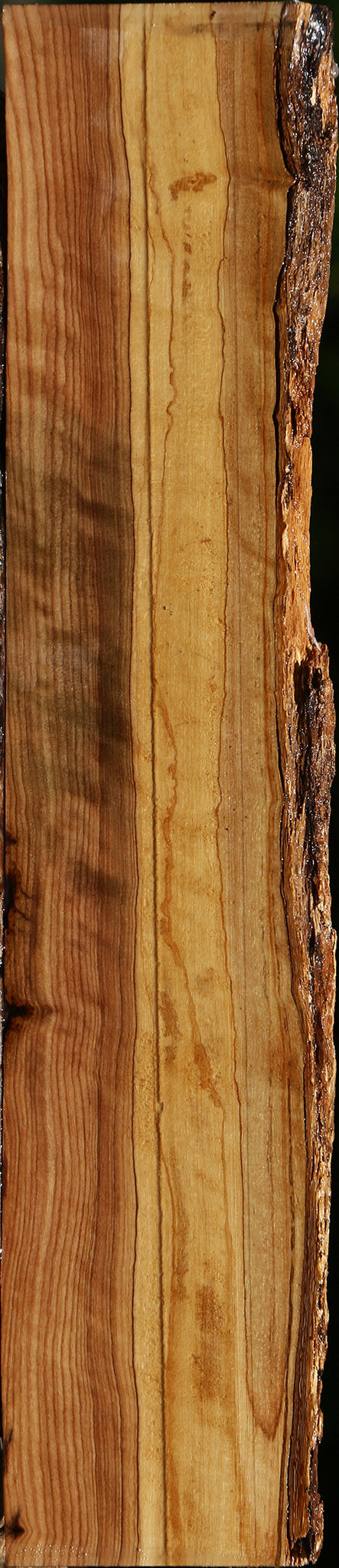 Extra Fancy African Olive Live Edge Lumber