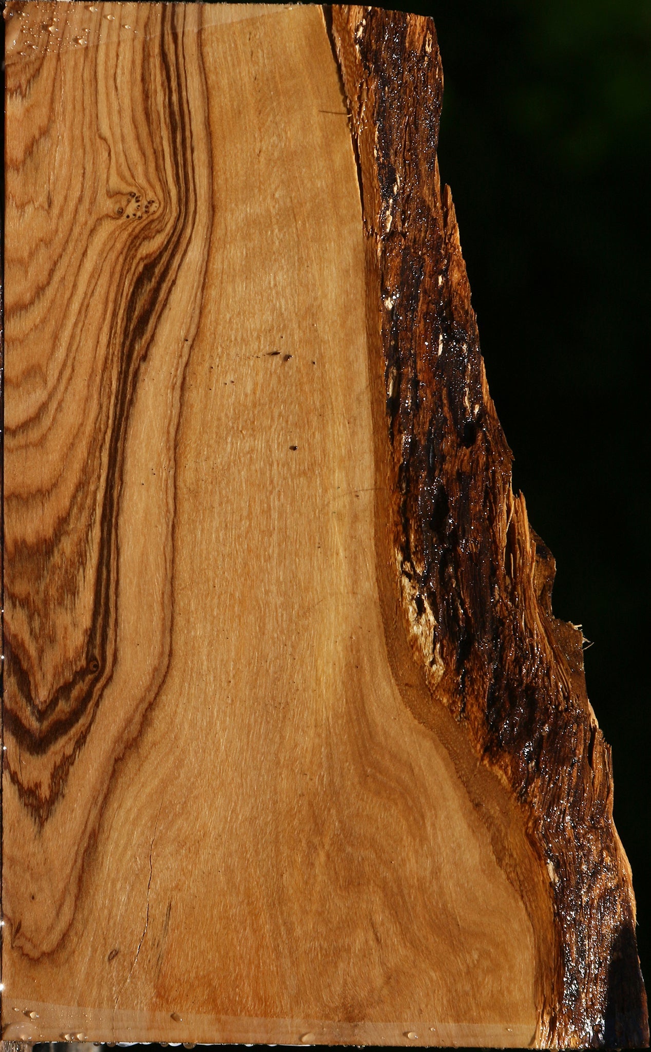 African Olive Live Edge Lumber