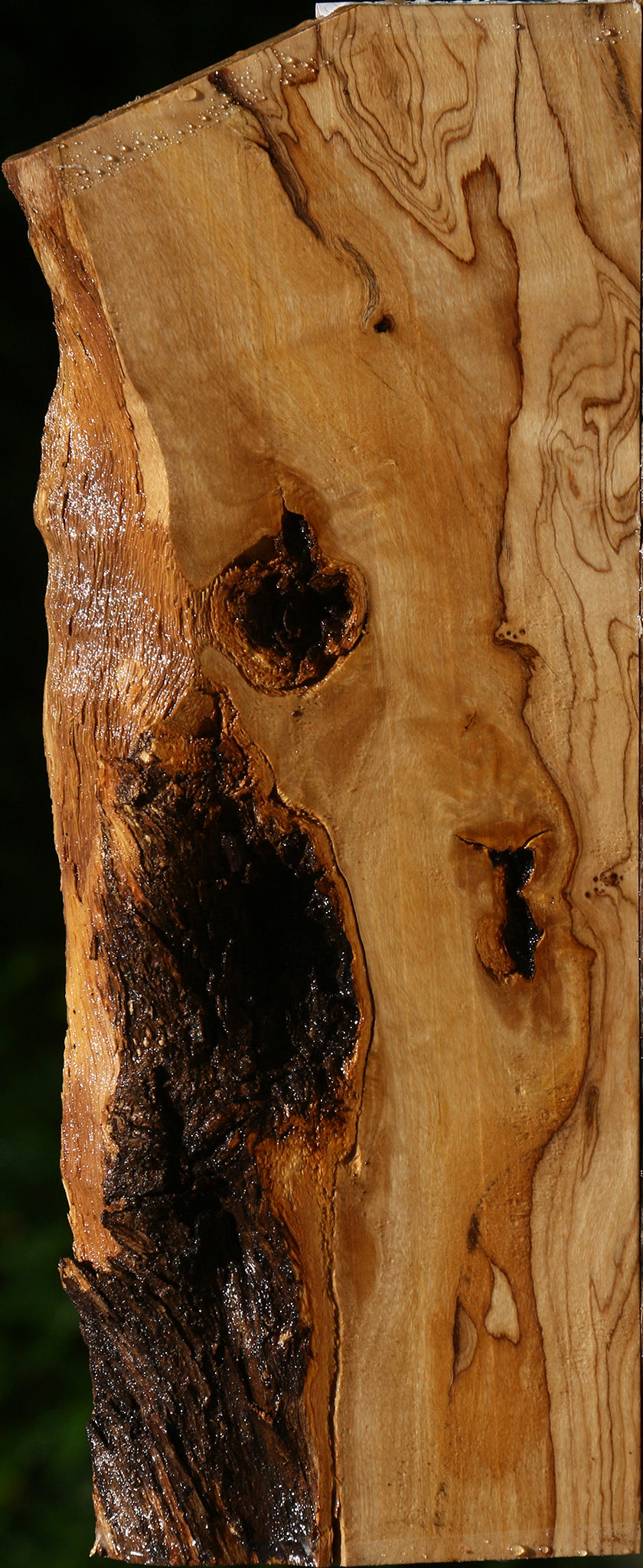 Figured African Olive Live Edge Lumber
