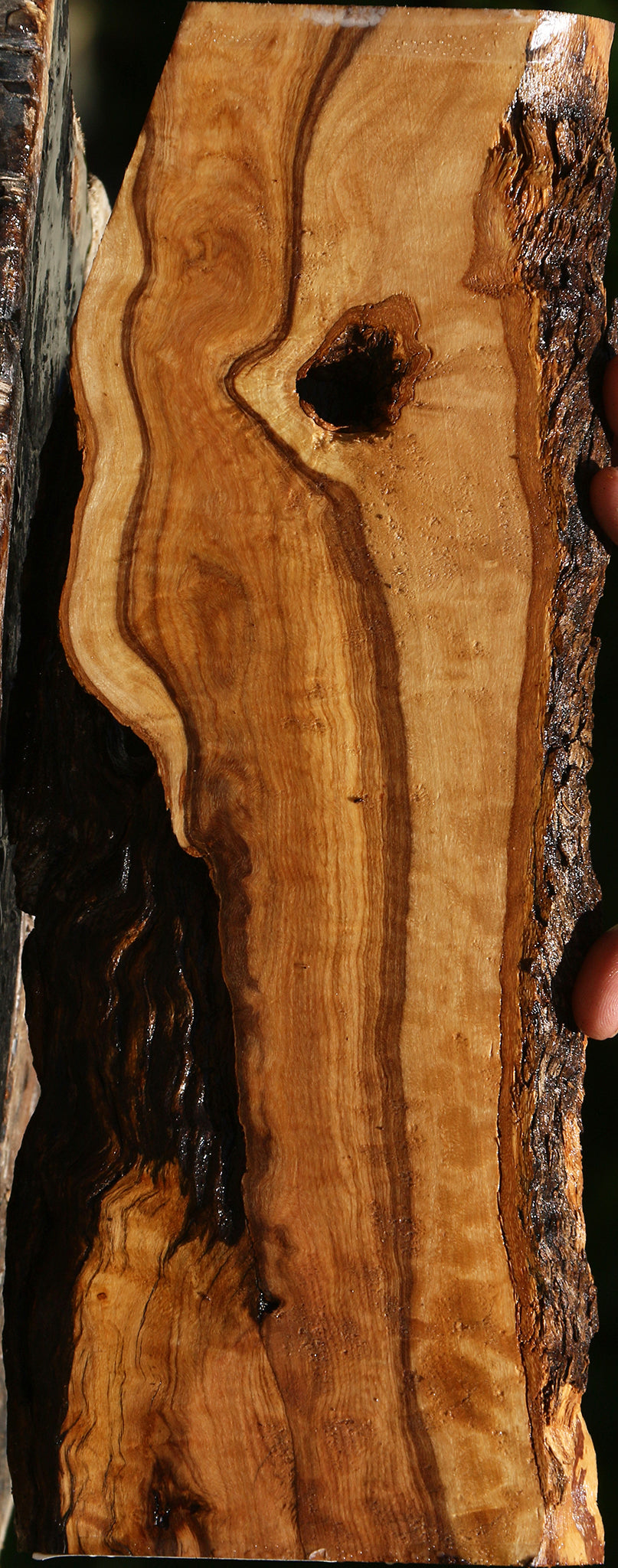 Extra Fancy African Olive Live Edge Lumber