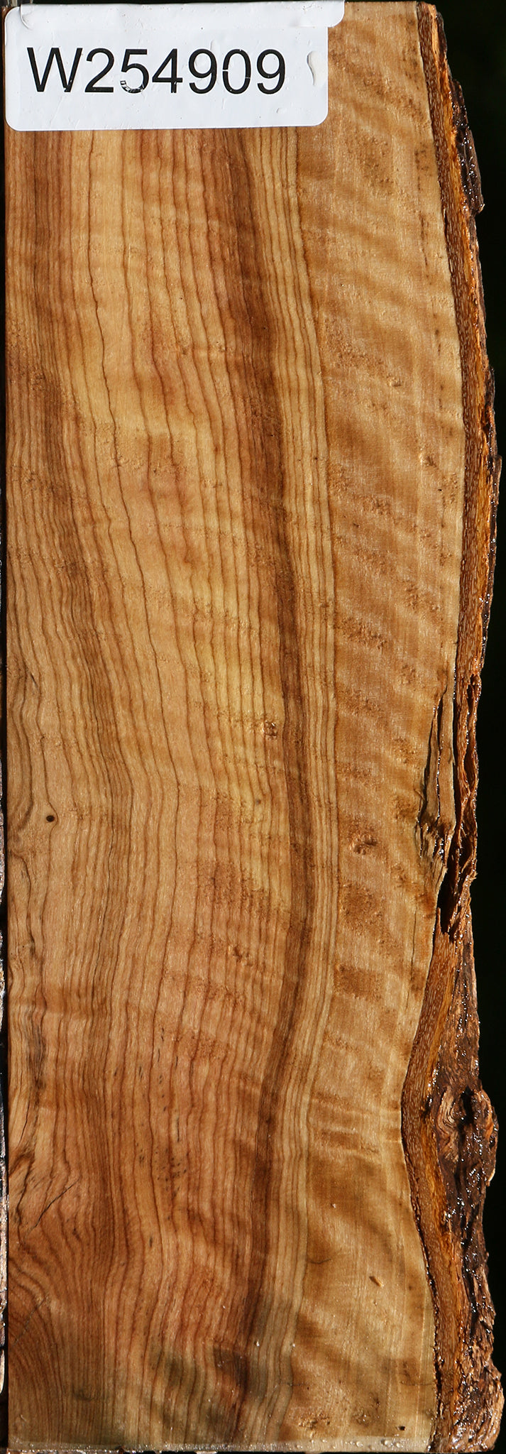Extra Fancy African Olive Live Edge Lumber