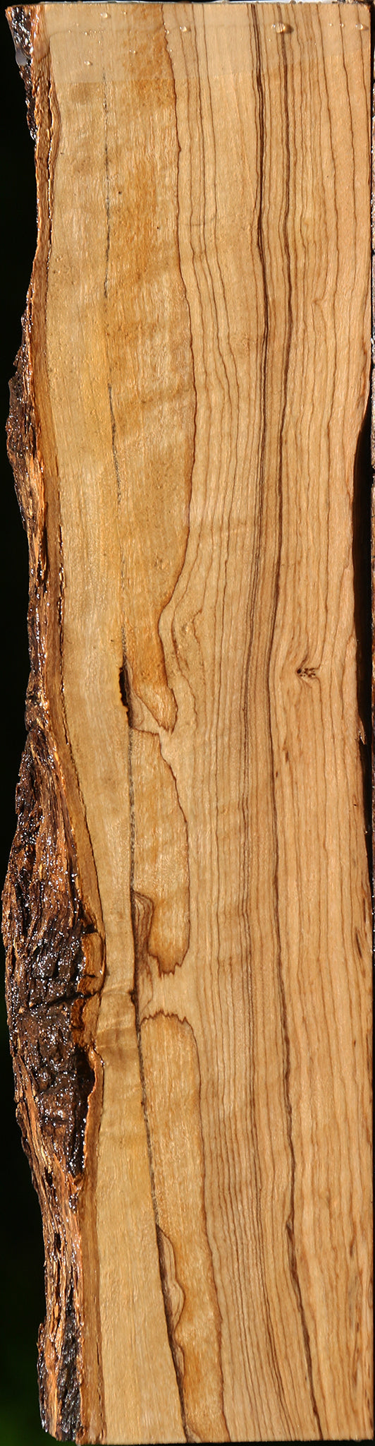 Extra Fancy African Olive Live Edge Lumber