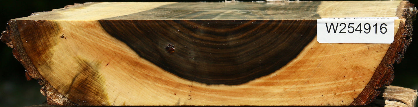 Pistachio Live Edge Turning Blank