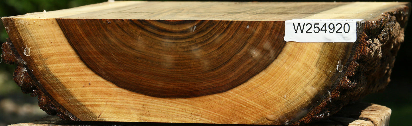 Figured Pistachio Live Edge Bowl Blank