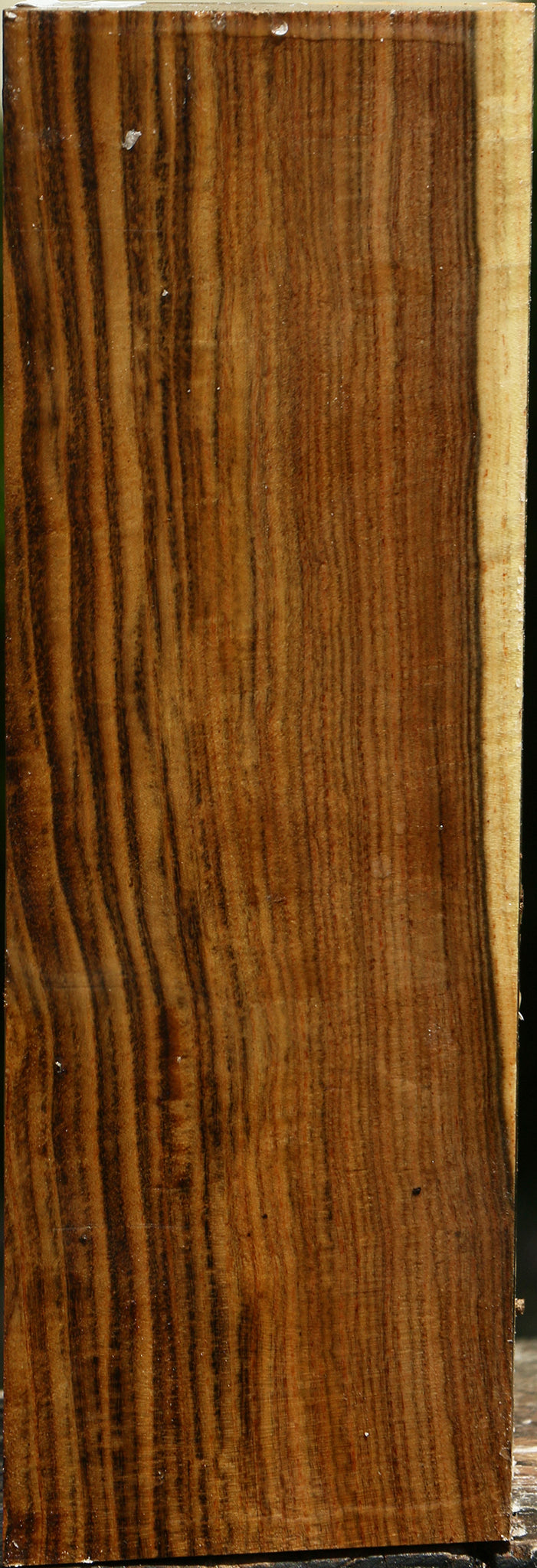 Figured Pistachio Vessel Blank
