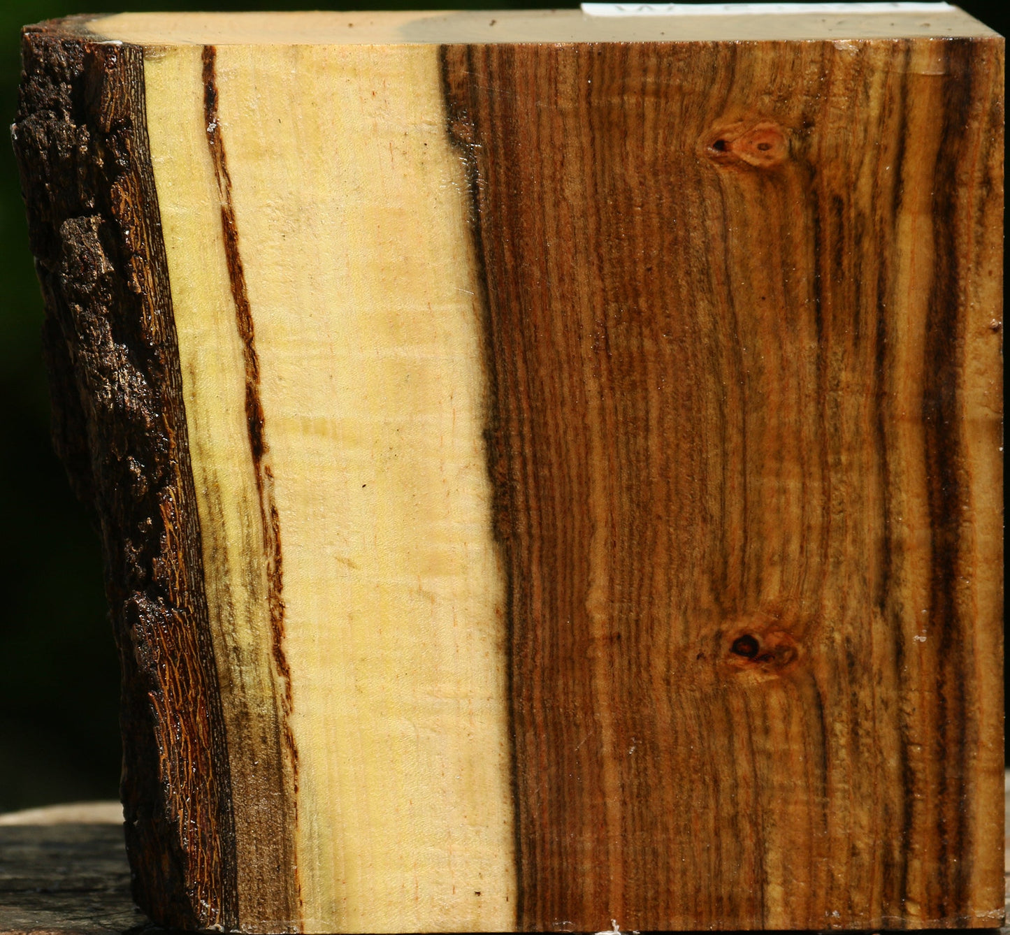 Figured Pistachio Live Edge Bowl Blank