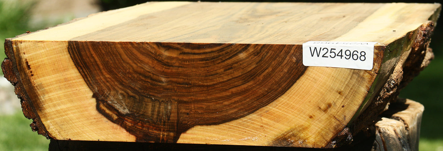 Figured Pistachio Live Edge Bowl Blank