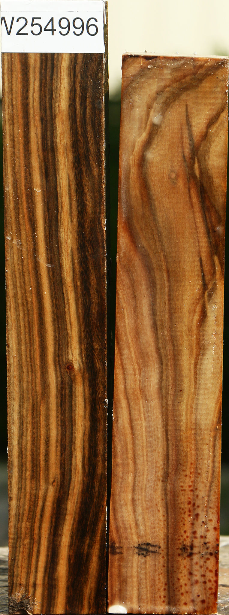 Pistachio Turning Square 2 Pack
