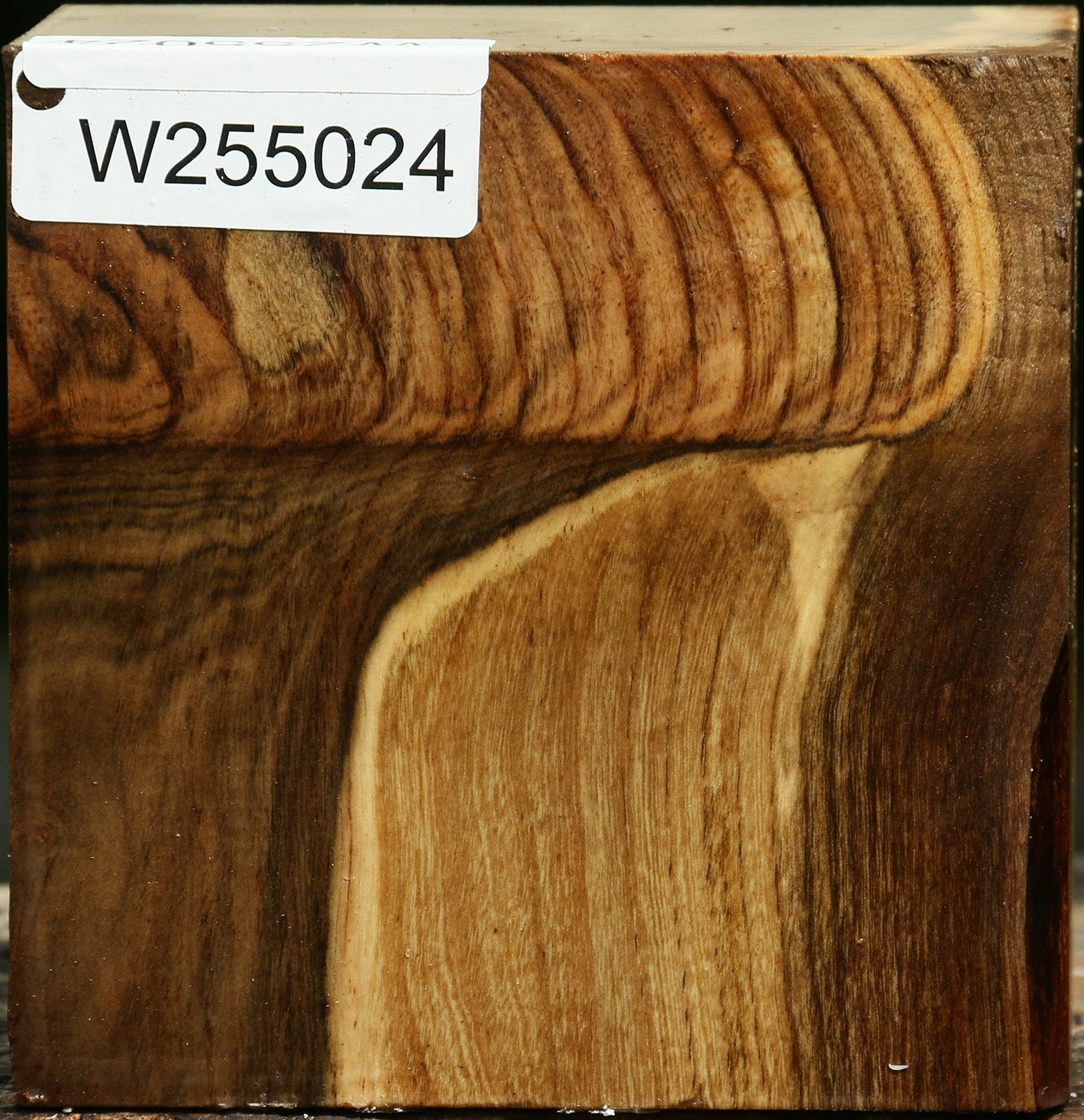 Grafted Pistachio Bowl Blank