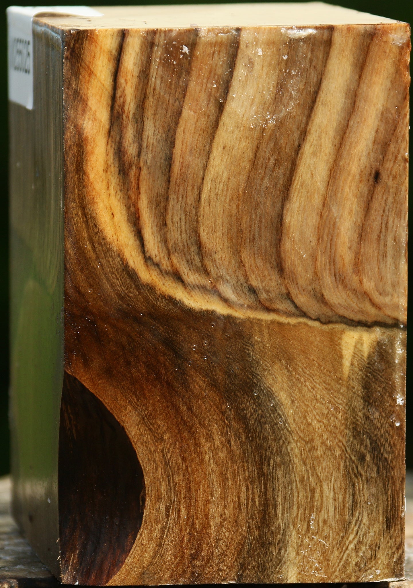 Grafted Pistachio Bowl Blank