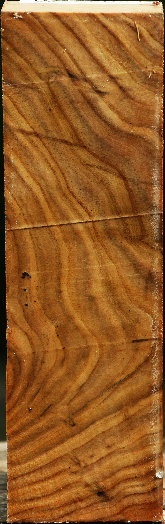 Figured Pistachio Turning Square