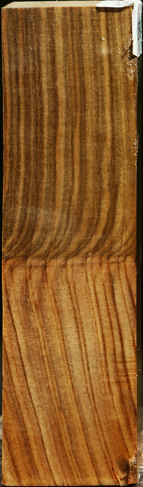 Grafted Pistachio Turning Square