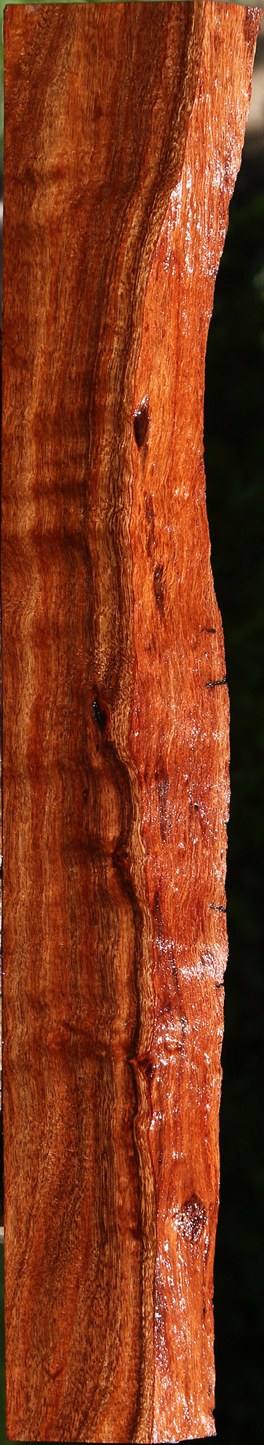 Extra Fancy Hawaiian Koa Live Edge Lumber