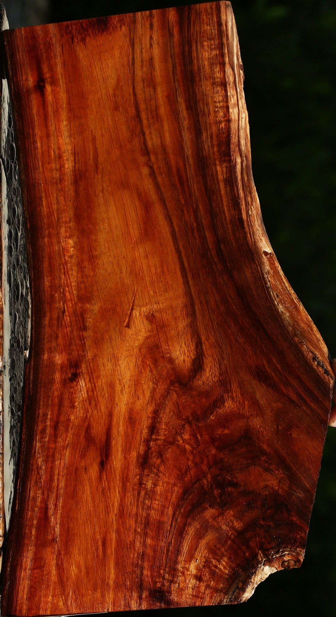 Extra Fancy Crotchwood Hawaiian Koa Live Edge Lumber