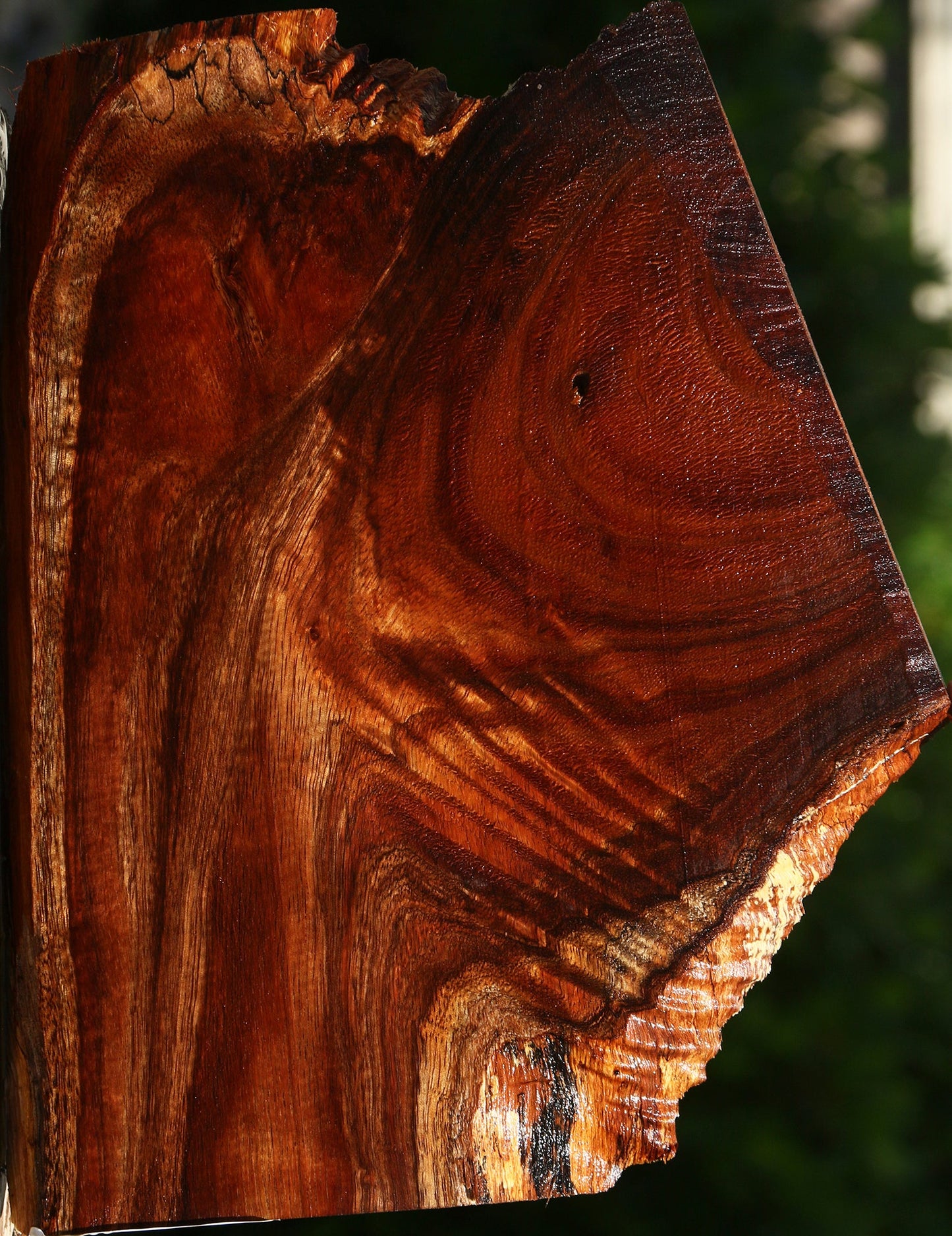 Extra Fancy Hawaiian Koa Live Edge Lumber