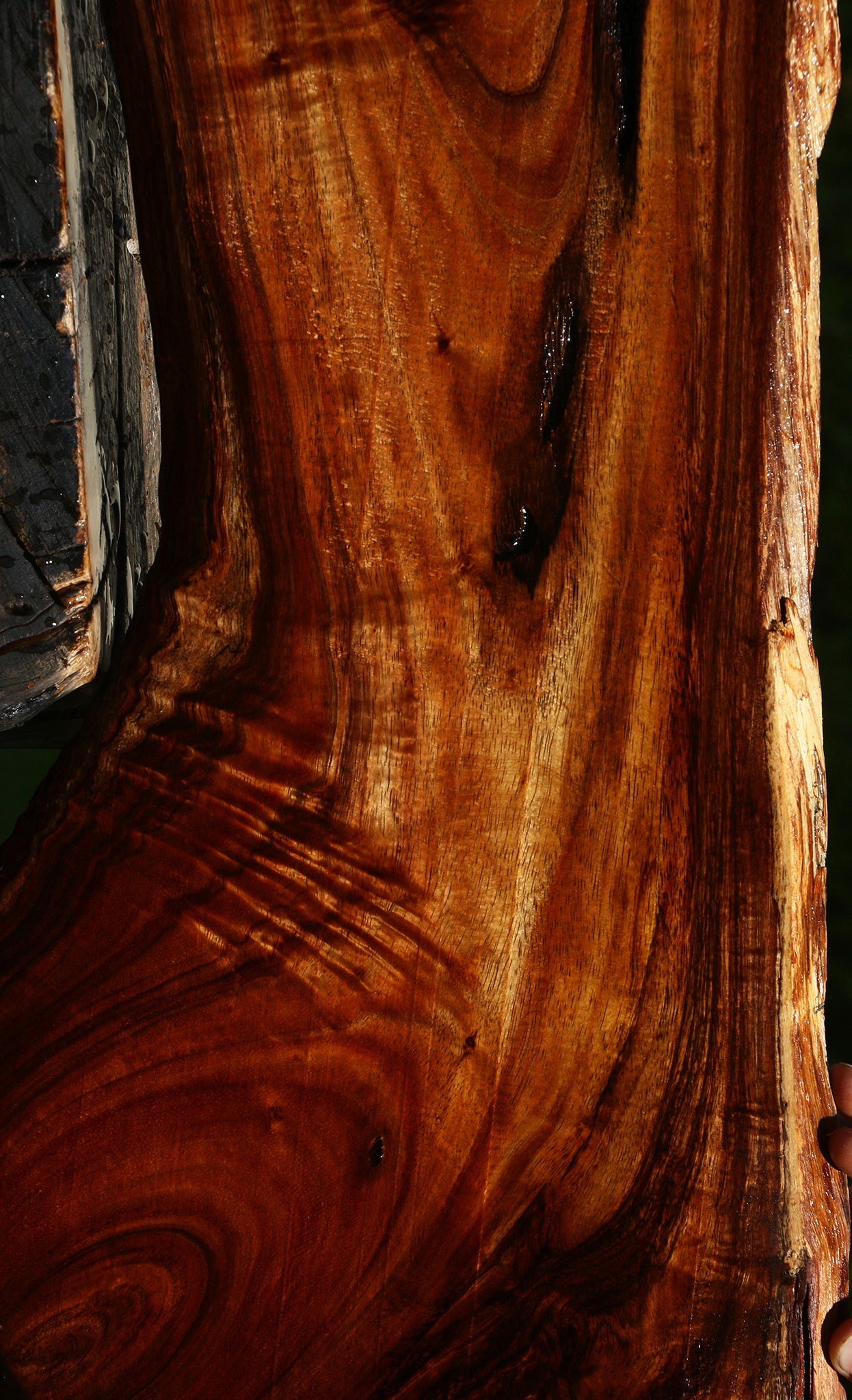 Extra Fancy Hawaiian Koa Live Edge Lumber