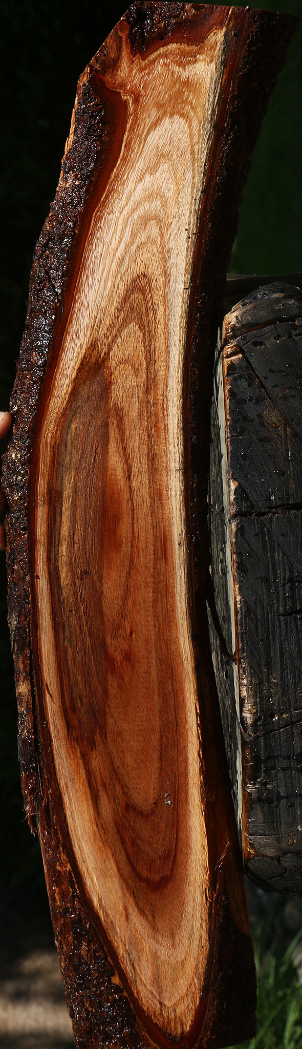 Rustic Hawaiian Koa Live Edge Lumber