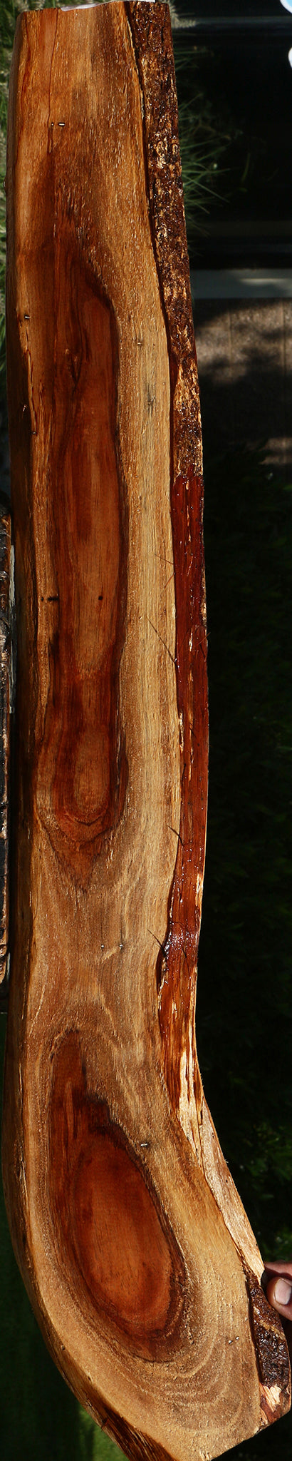 Rustic Hawaiian Koa Live Edge Lumber