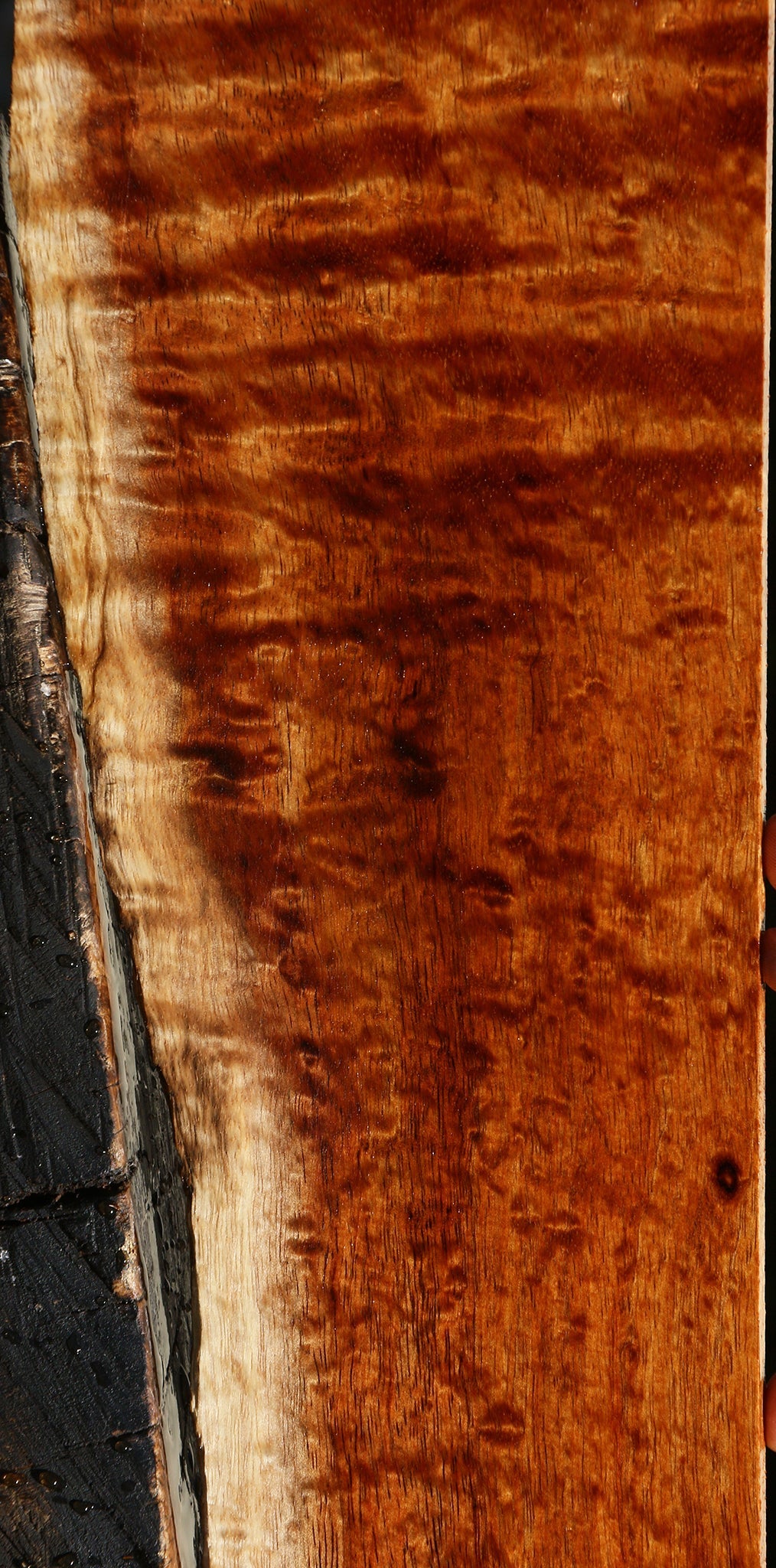 Extra Fancy Quartersawn Hawaiian Koa Live Edge Micro Lumber