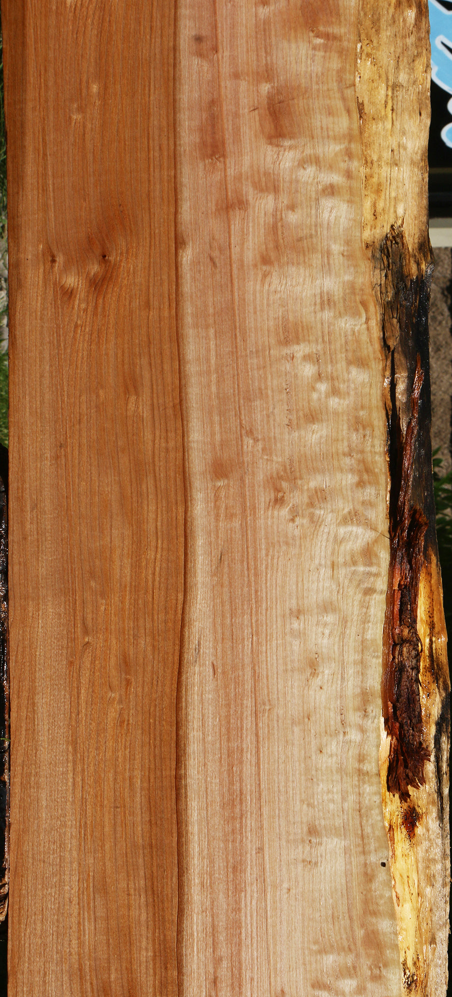 Figured Maple Live Edge Slab