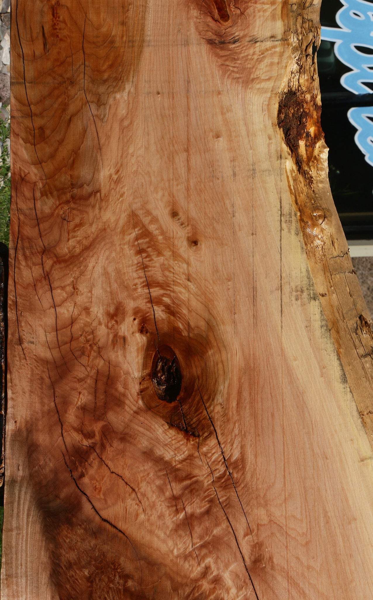 Rustic Maple Live Edge Slab