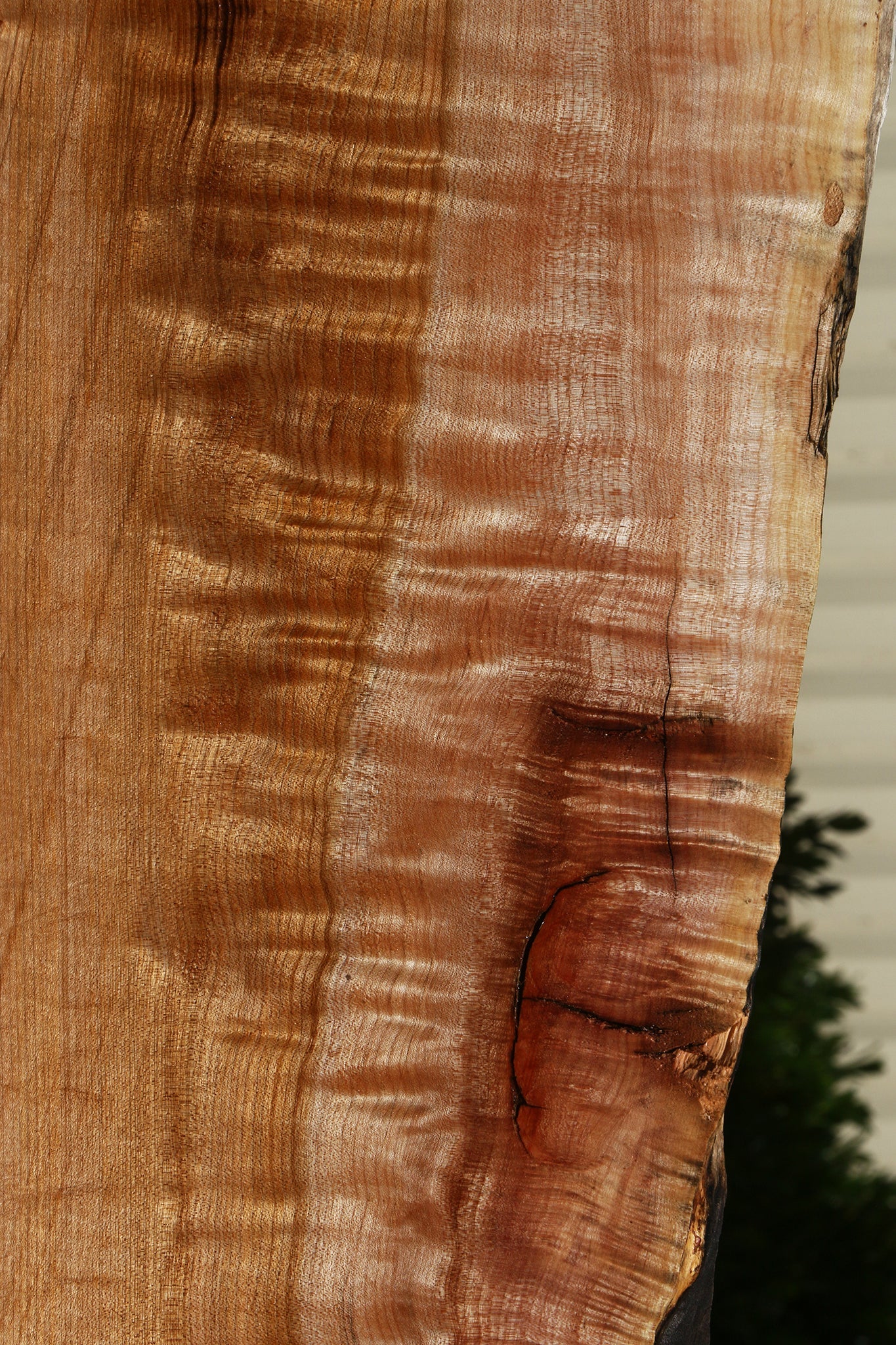 Extra Fancy Maple Live Edge Slab