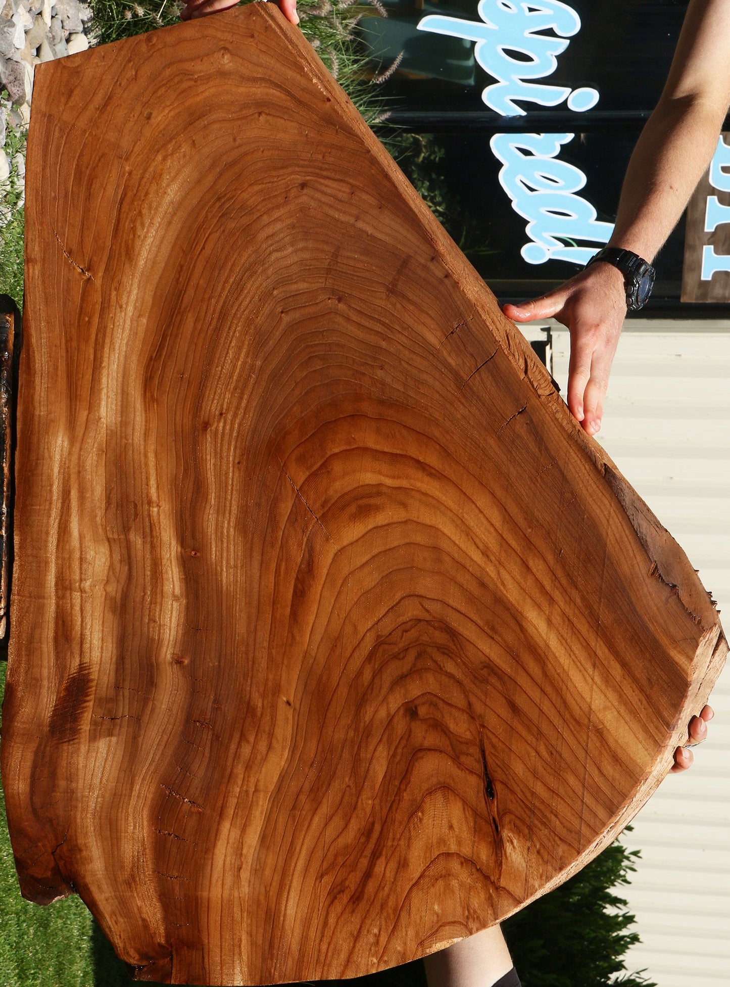 Elm Mini Slab