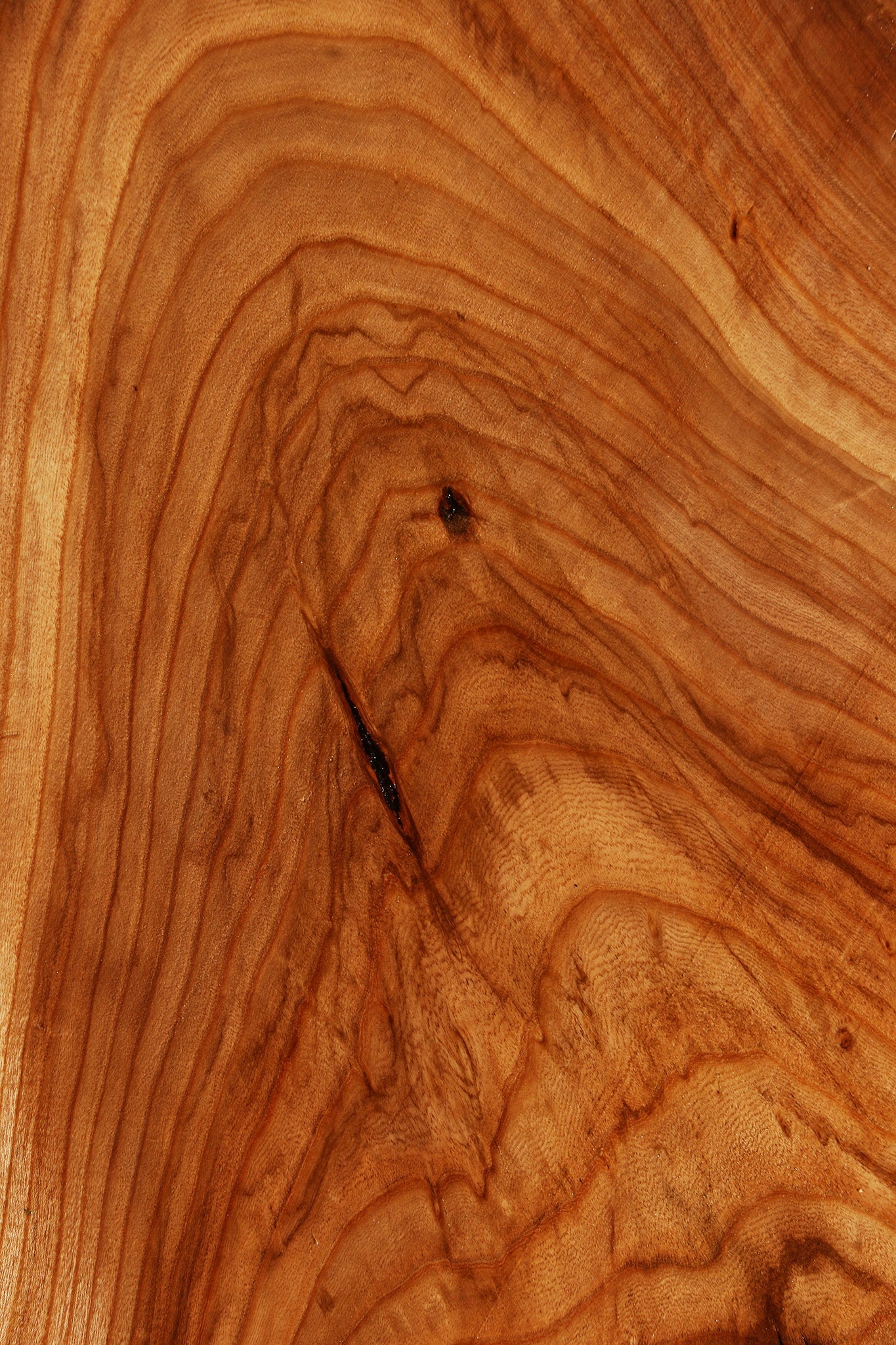 Rustic Elm Live Edge Mini Slab