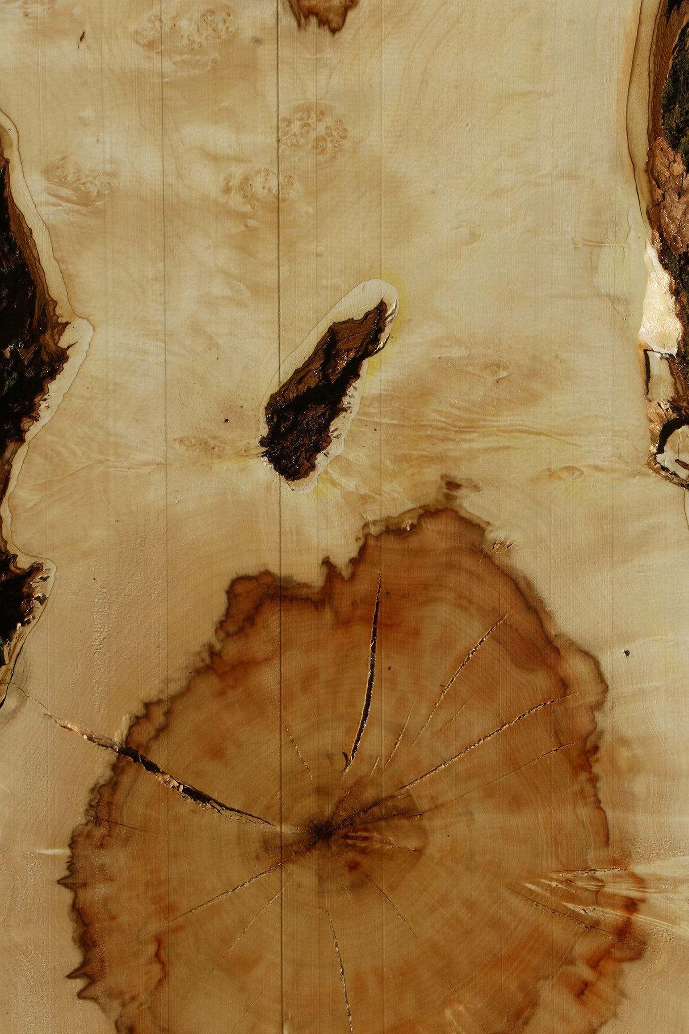 Figured Box Elder Live Edge Slab